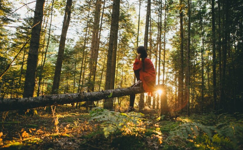 Grønne Rejser: Hvordan TravelGreen.dk Baner Vejen for Bæredygtig Turisme