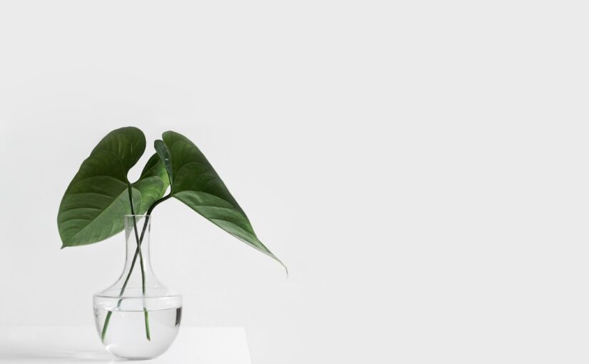 Forvandl Din Virksomhed med Woocommerce