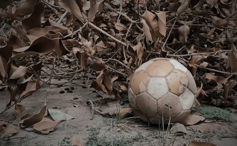 Fodboldentusiasters Foretrukne Nyhedskilde: fannews.dk